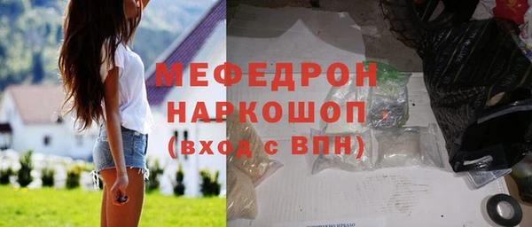 хмурый Аркадак