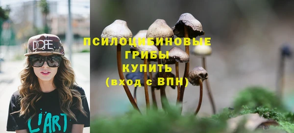 ГАЛЛЮЦИНОГЕННЫЕ ГРИБЫ Арсеньев