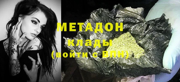 хмурый Аркадак