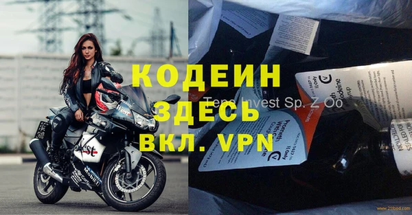 хмурый Аркадак