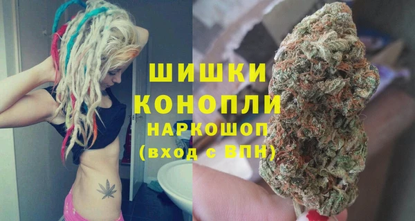 ГАЛЛЮЦИНОГЕННЫЕ ГРИБЫ Арсеньев