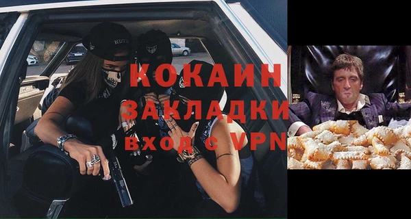 хмурый Аркадак