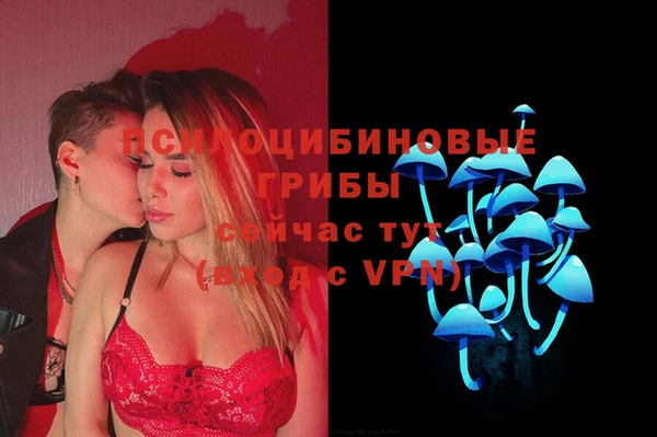 хмурый Аркадак