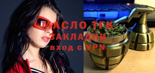 хмурый Аркадак
