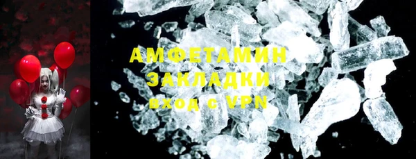 хмурый Аркадак