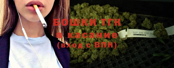 хмурый Аркадак